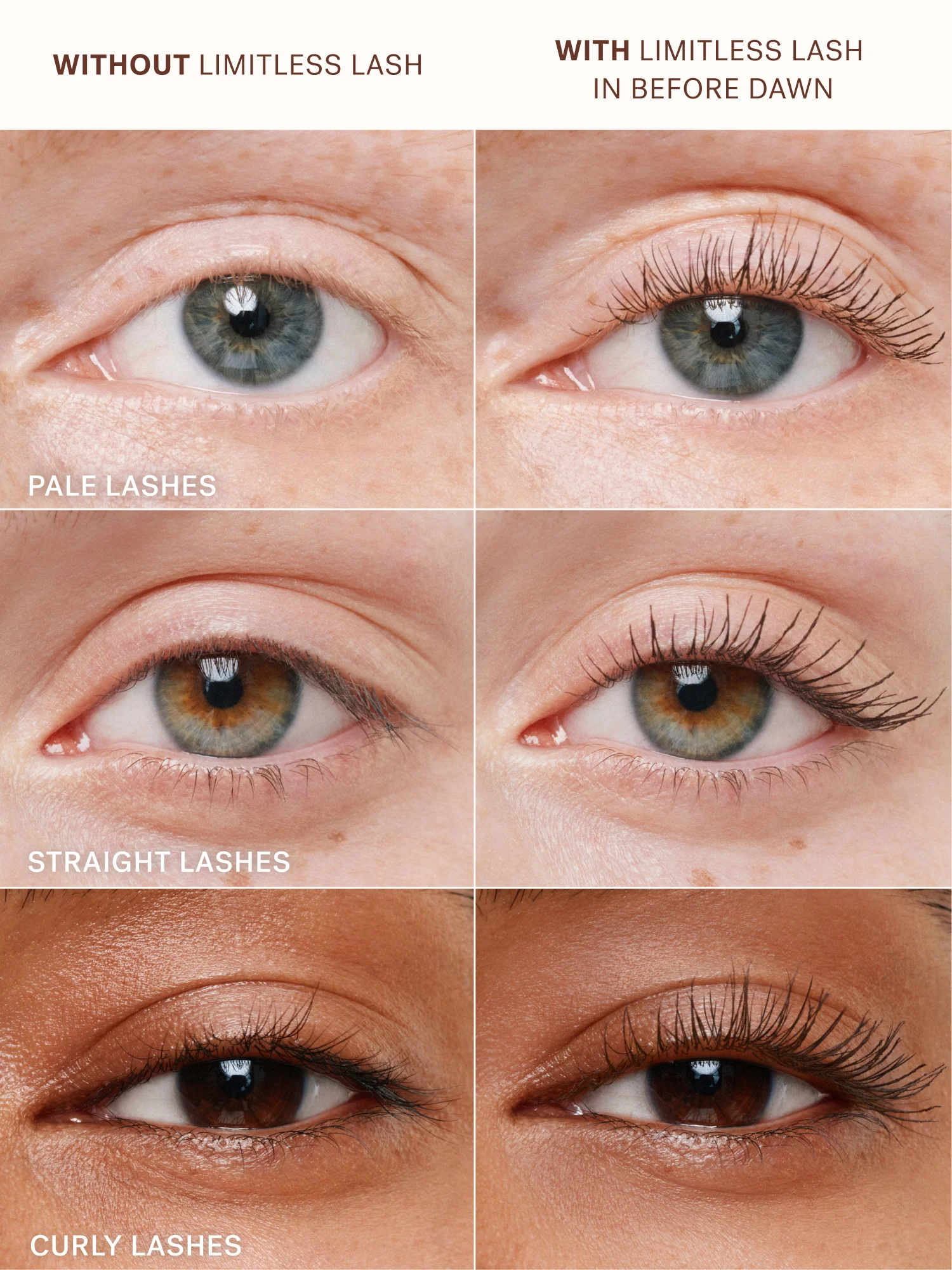 The Complexion + Color Set - Image 9